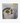Snowy Owl Story
