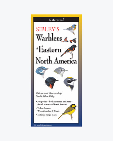 Sibley's Warblers of Eastern North America