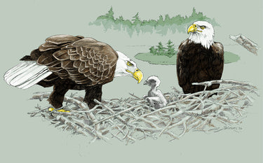 Wild Bald Eagles V-2 Tee
